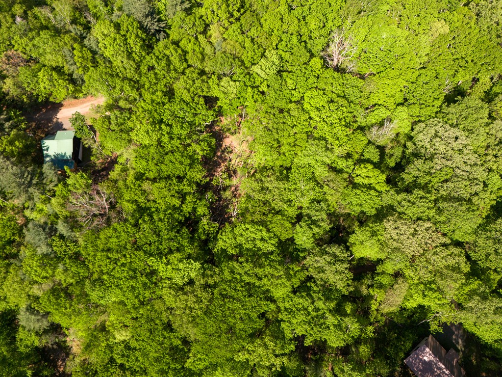 Lot 45 Amy Creek Property Photo 12