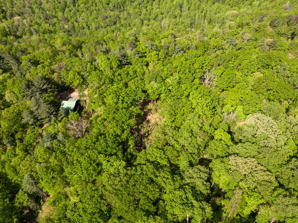 Lot 45 Amy Creek Property Photo 13