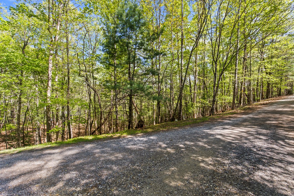 .75 Acre Chinkapin Drive Property Photo 2