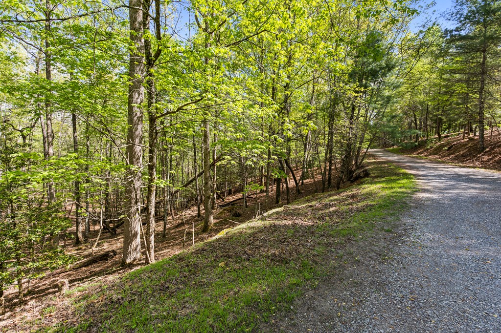 .75 Acre Chinkapin Drive Property Photo 4