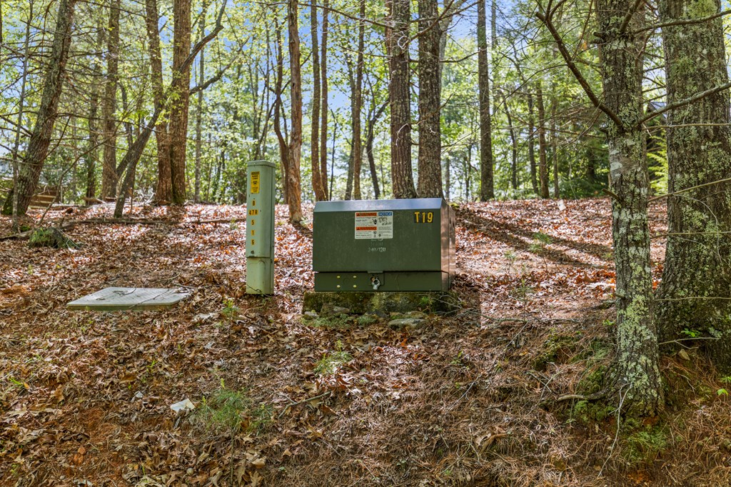 .75 Acre Chinkapin Drive Property Photo 11