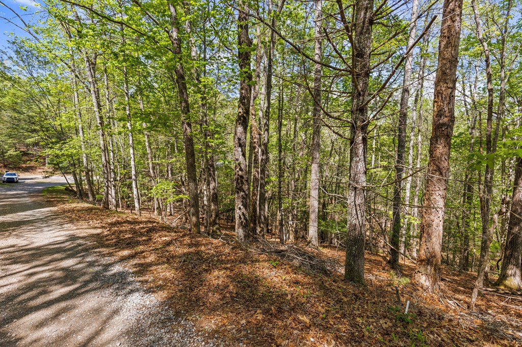 .75 Acre Chinkapin Drive Property Photo 15