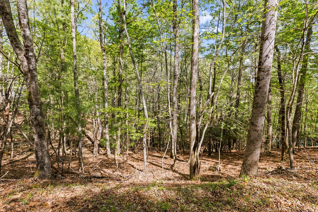 .75 Acre Chinkapin Drive Property Photo 16