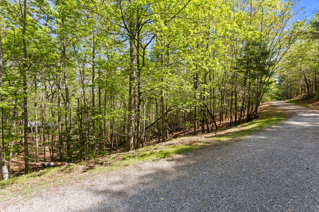 .75 Acre Chinkapin Drive Property Photo 18