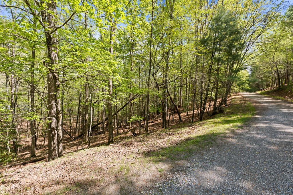 .75 Acre Chinkapin Drive Property Photo 19