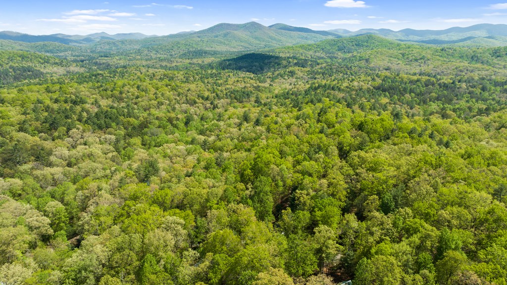.75 Acre Chinkapin Drive Property Photo 20