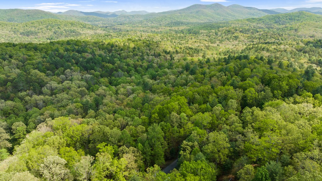 .75 Acre Chinkapin Drive Property Photo 21