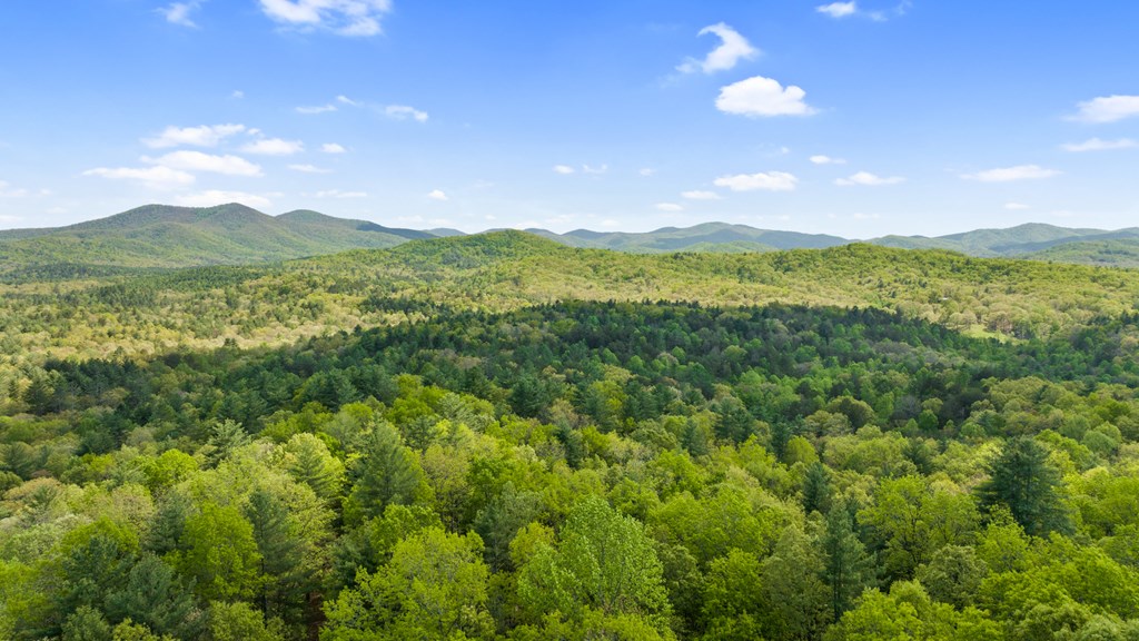 .75 Acre Chinkapin Drive Property Photo 22
