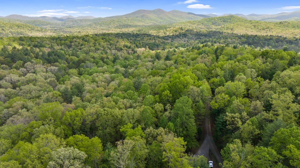 .75 Acre Chinkapin Drive Property Photo 23