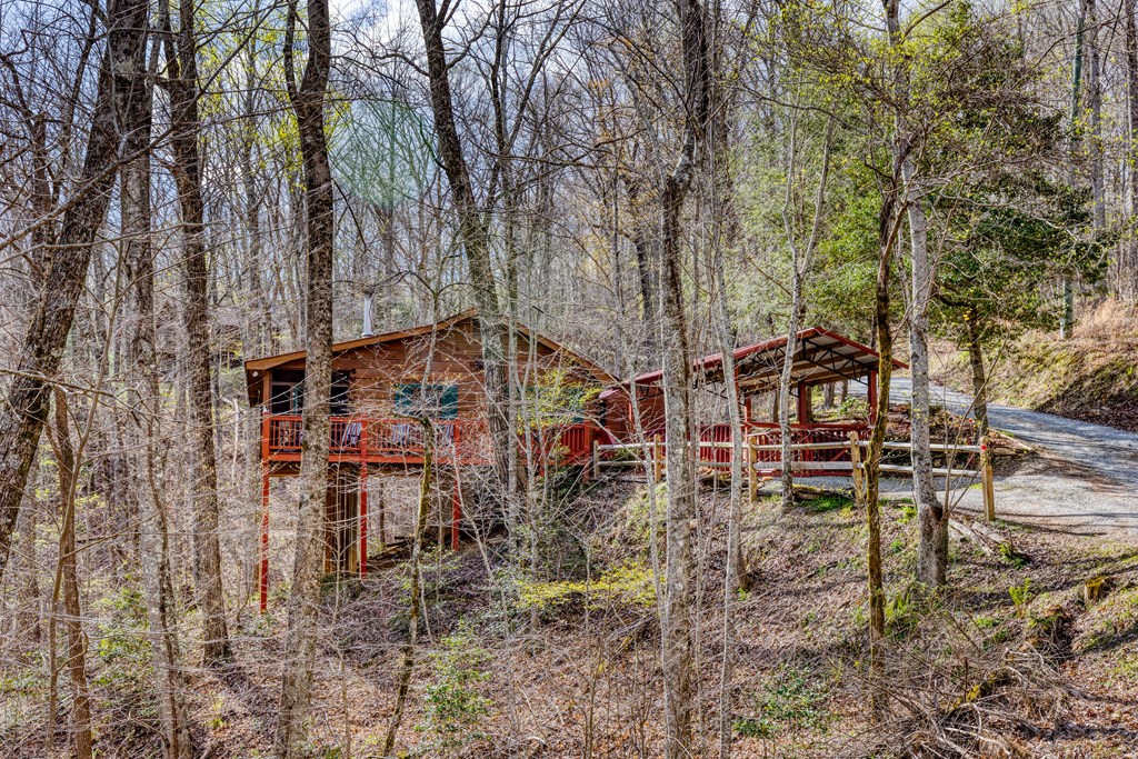 688 Little Bushy Head Road Property Photo 2