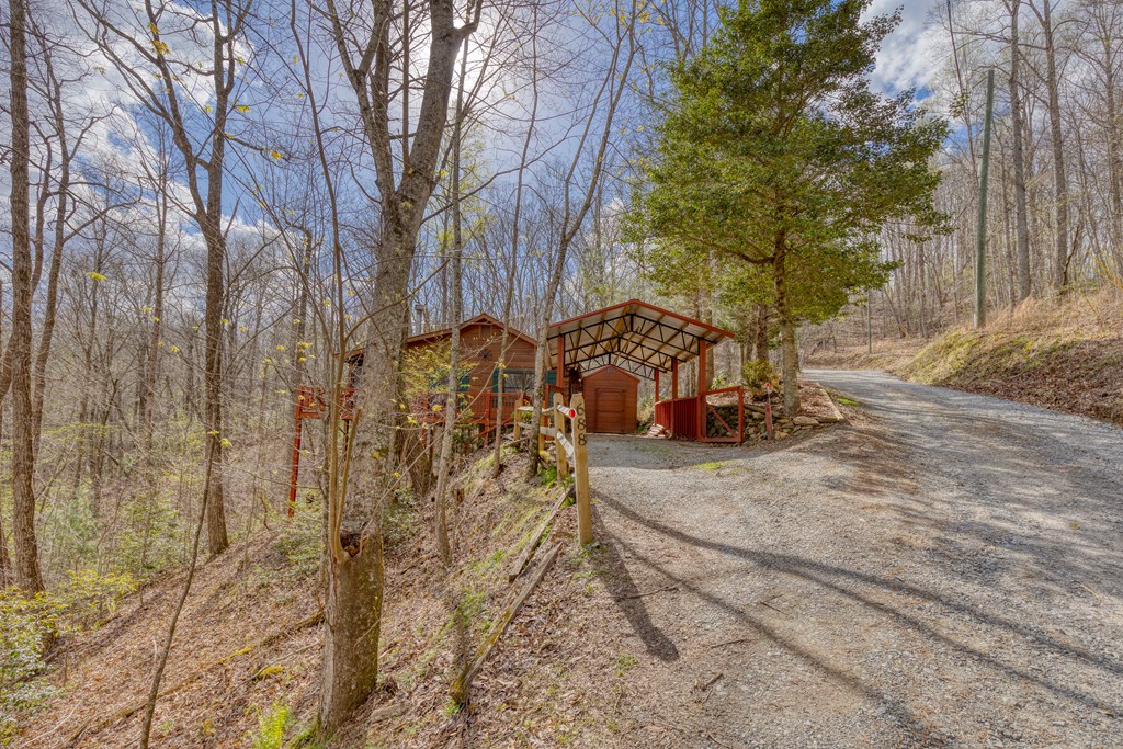 688 Little Bushy Head Road Property Photo 12