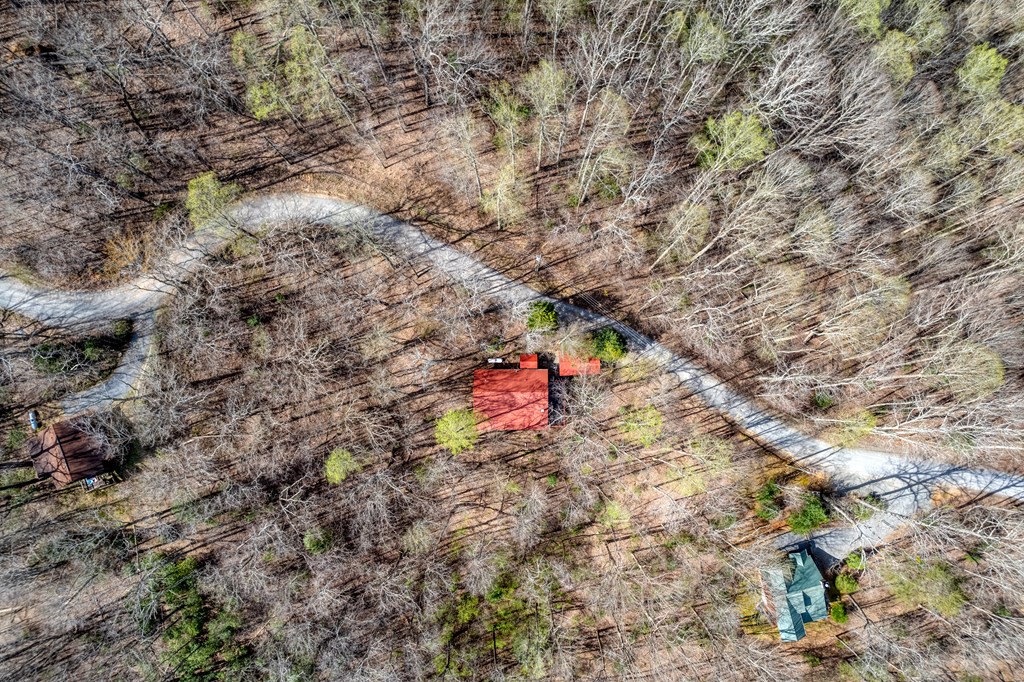 688 Little Bushy Head Road Property Photo 14