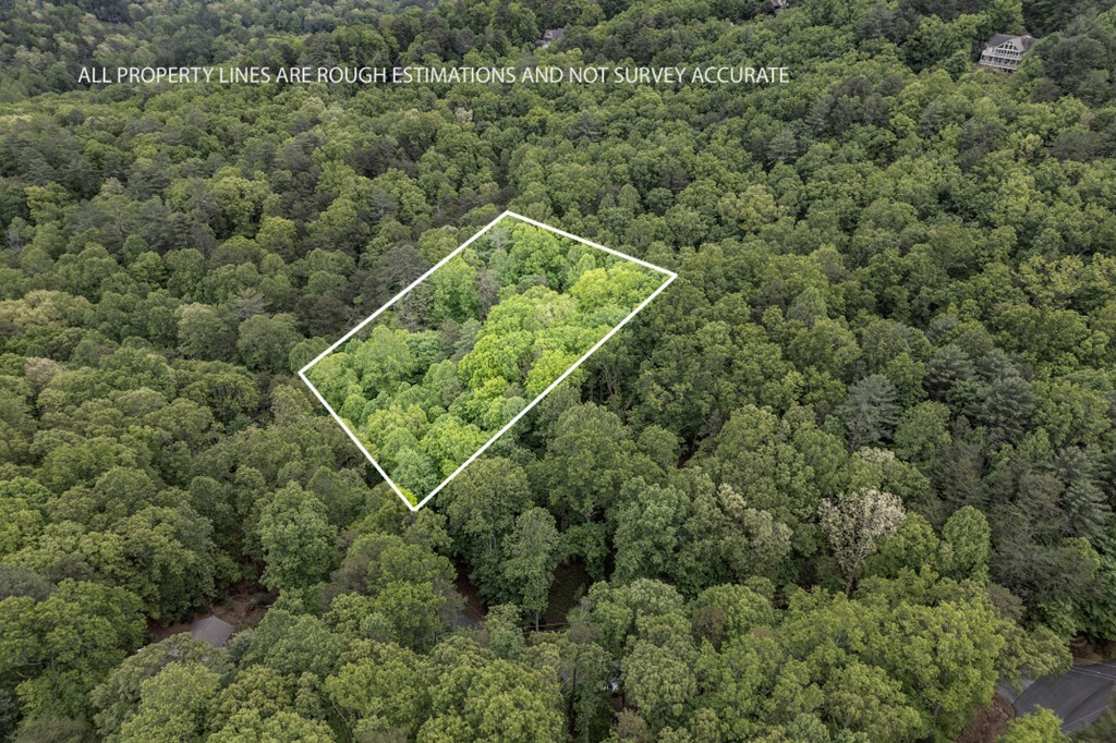 Lot 17 Lower Gap Road Property Photo 2