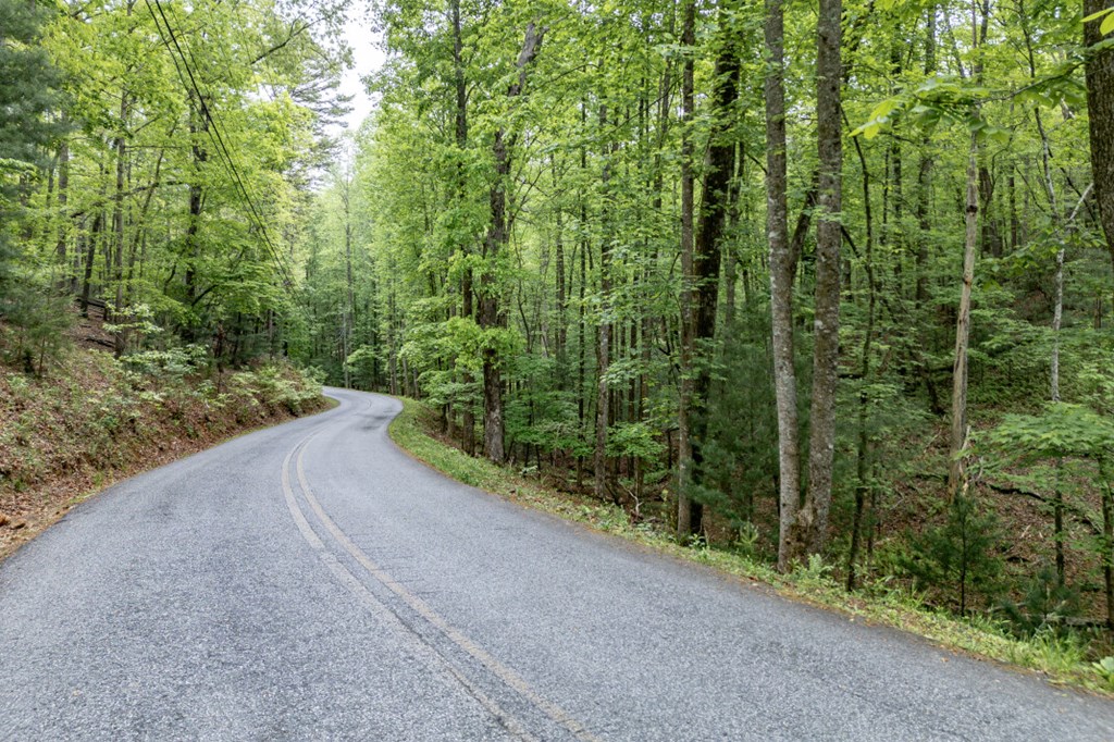 Lot 17 Lower Gap Road Property Photo 3