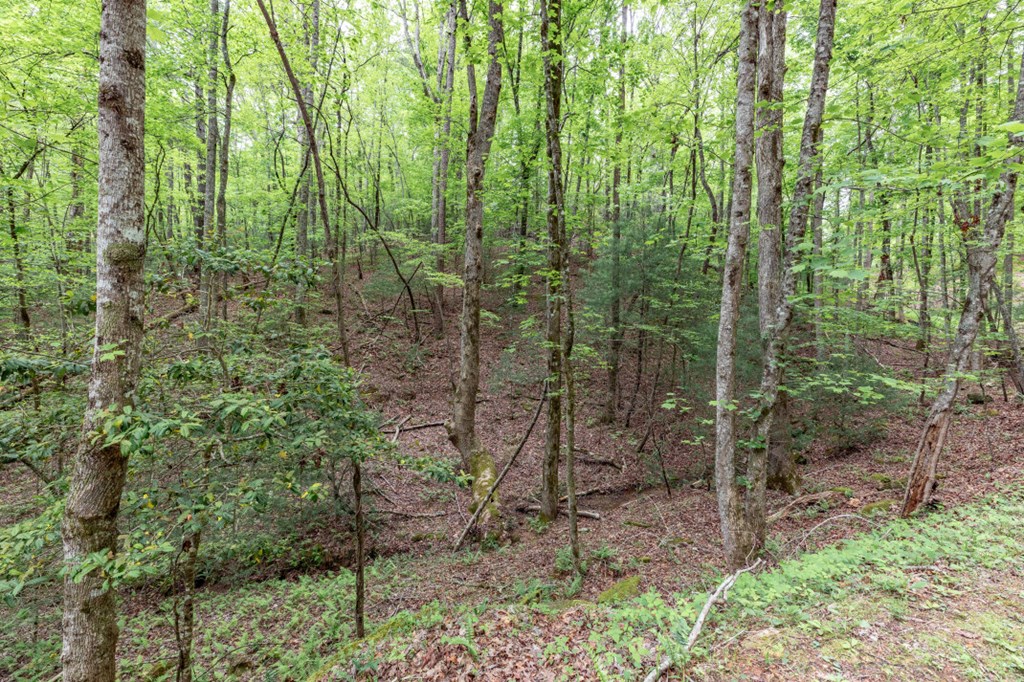 Lot 17 Lower Gap Road Property Photo 5
