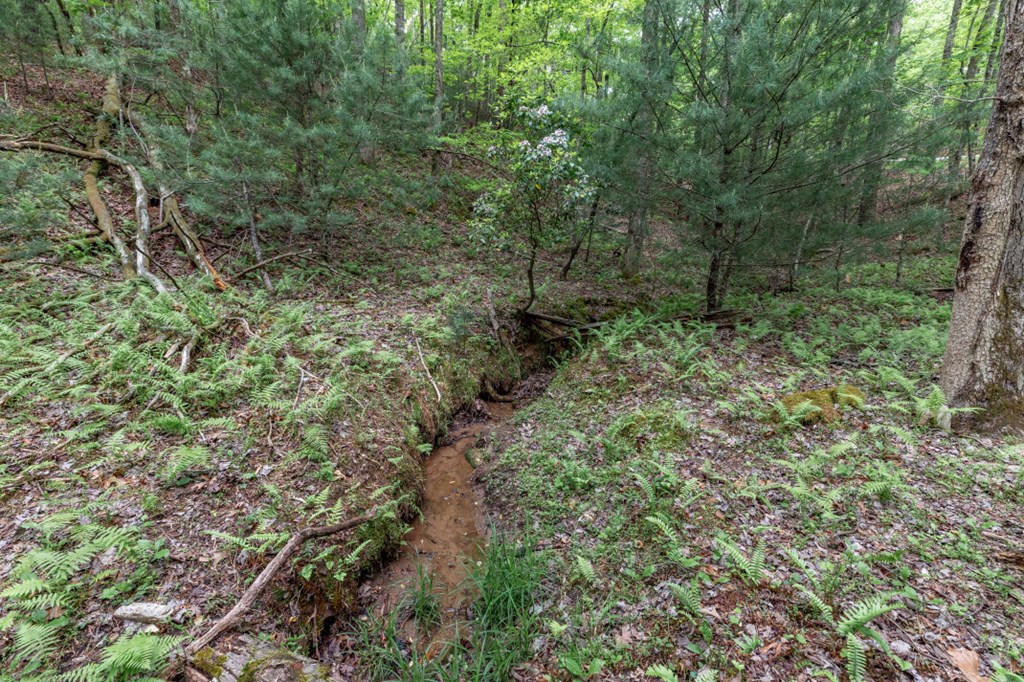 Lot 17 Lower Gap Road Property Photo 8