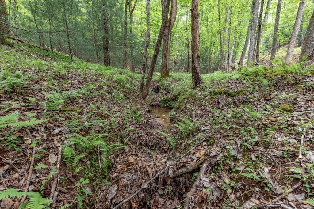 Lot 17 Lower Gap Road Property Photo 10