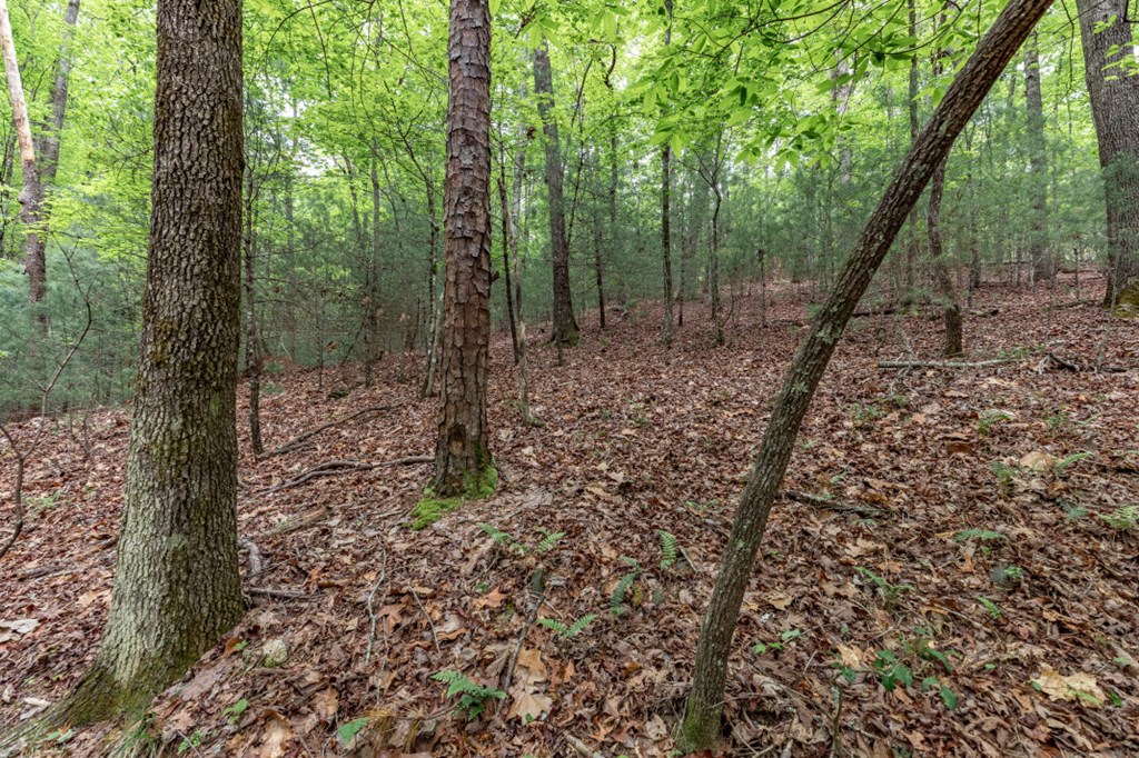 Lot 17 Lower Gap Road Property Photo 12