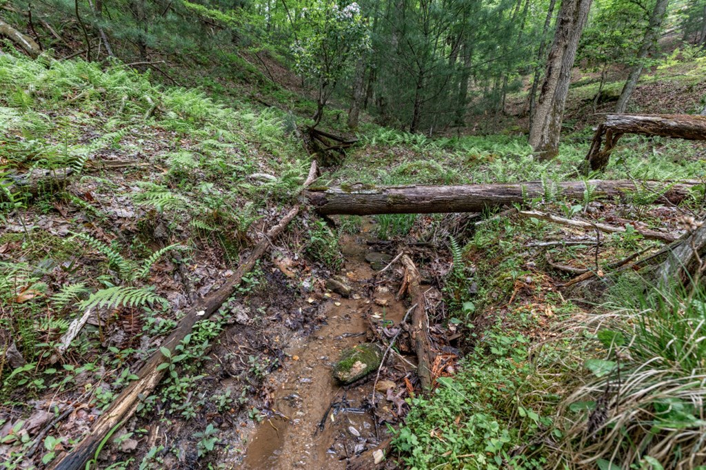 Lot 17 Lower Gap Road Property Photo 13