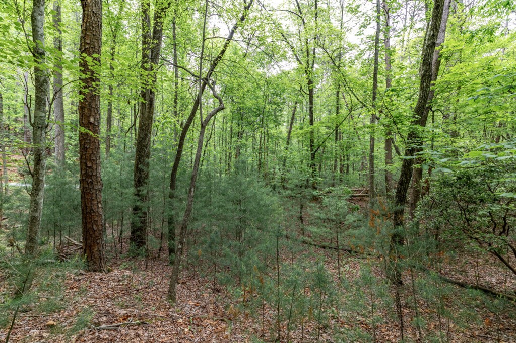 Lot 17 Lower Gap Road Property Photo 14