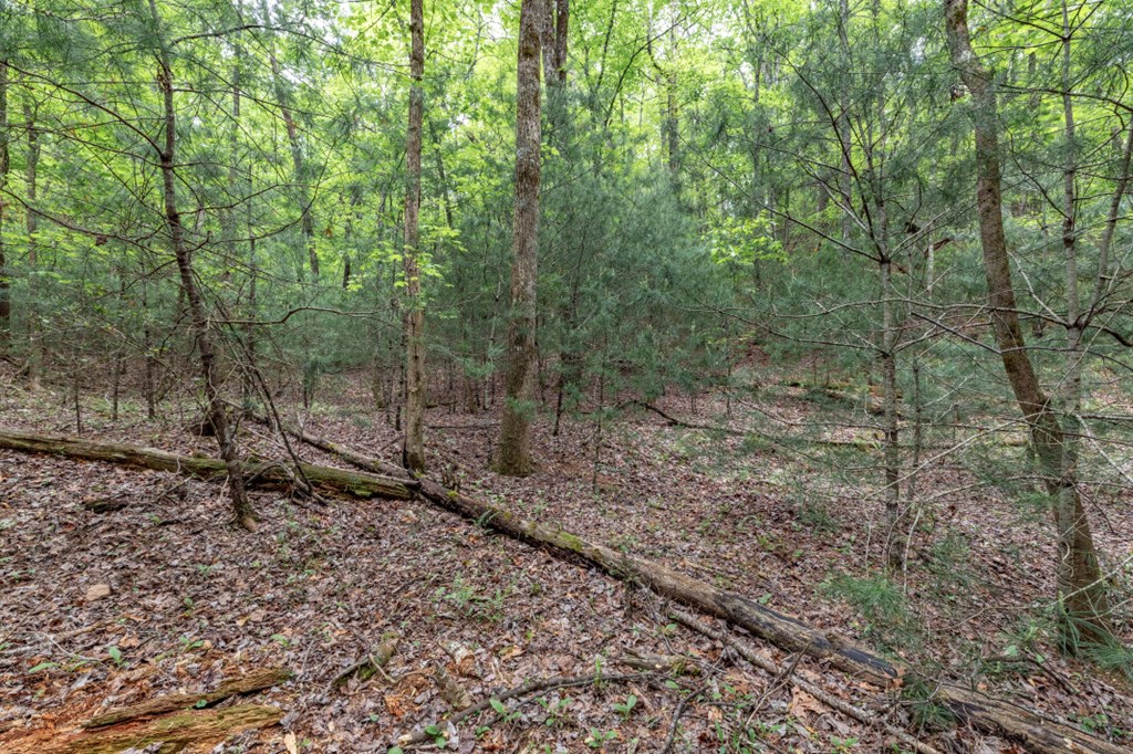 Lot 17 Lower Gap Road Property Photo 16
