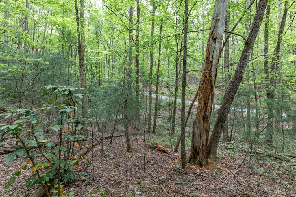 Lot 17 Lower Gap Road Property Photo 17