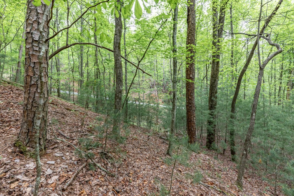 Lot 17 Lower Gap Road Property Photo 18
