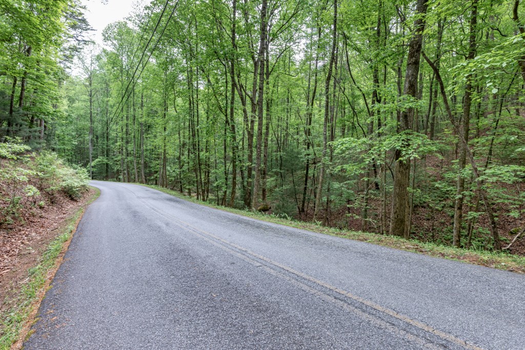 Lot 17 Lower Gap Road Property Photo 19