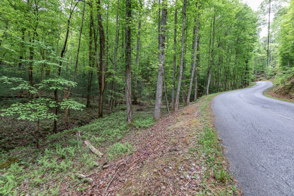 Lot 17 Lower Gap Road Property Photo 20