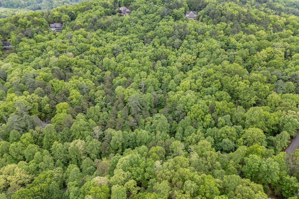 Lot 17 Lower Gap Road Property Photo 21
