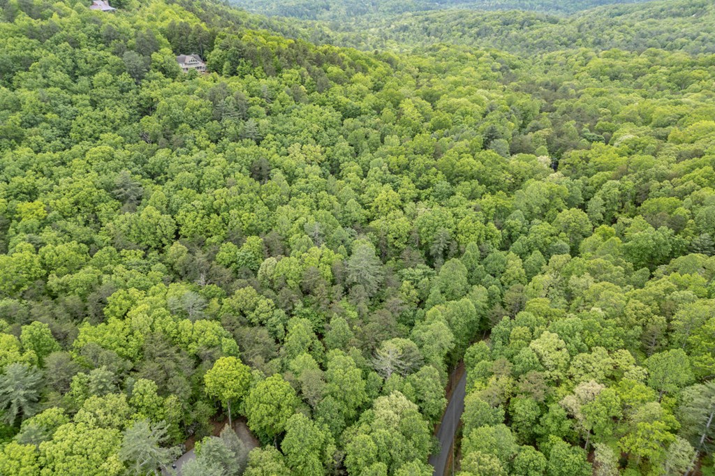 Lot 17 Lower Gap Road Property Photo 22
