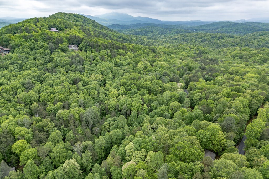 Lot 17 Lower Gap Road Property Photo 24