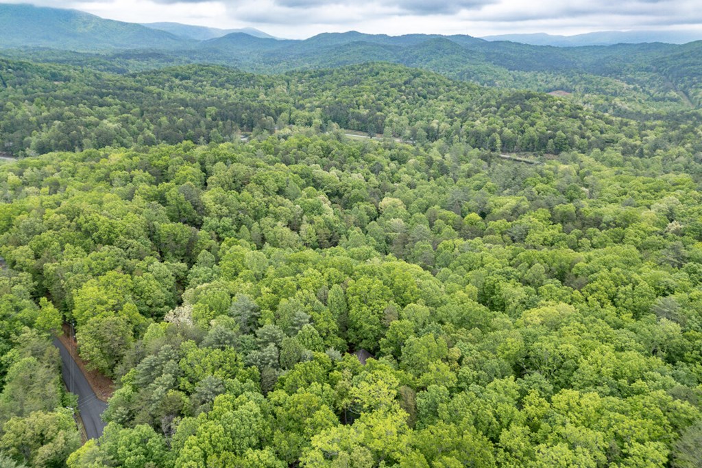 Lot 17 Lower Gap Road Property Photo 25