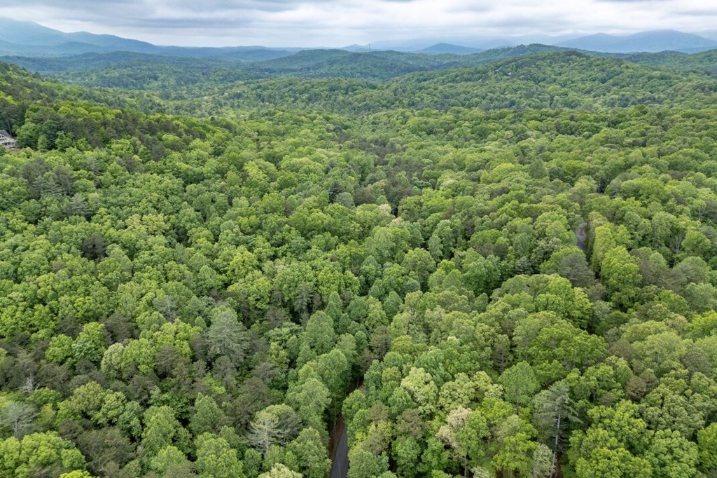 Lot 17 Lower Gap Road Property Photo 26