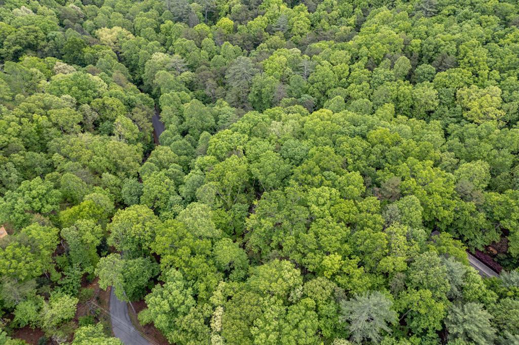 Lot 17 Lower Gap Road Property Photo 27
