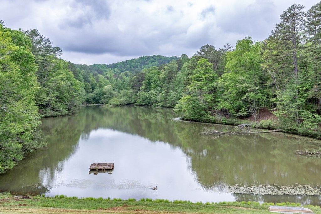 Lot 17 Lower Gap Road Property Photo 33
