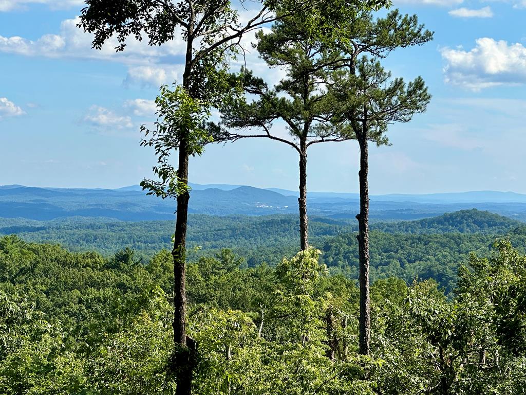 Lot 73 Mountain View Road Property Photo 1