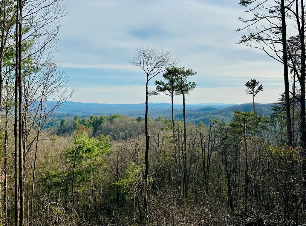 Lot 73 Mountain View Road Property Photo 2