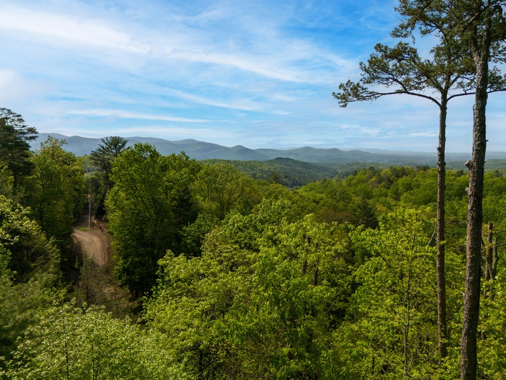 Lot 73 Mountain View Road Property Photo 3