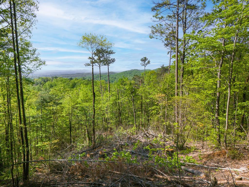Lot 73 Mountain View Road Property Photo 4