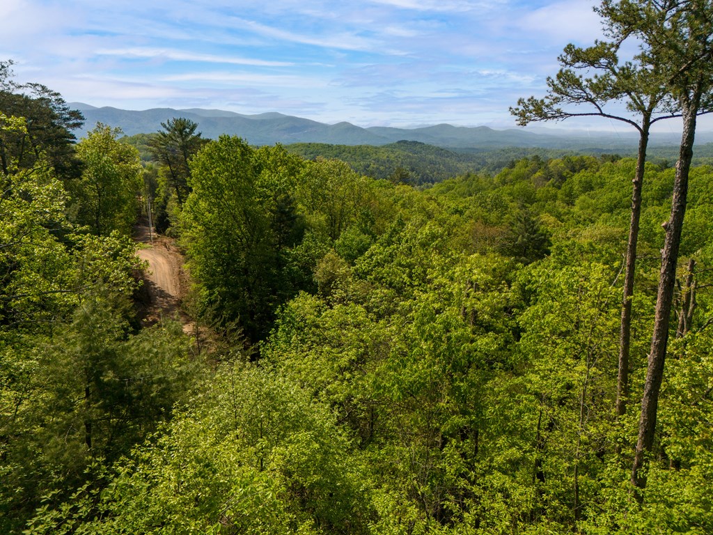 Lot 73 Mountain View Road Property Photo 5