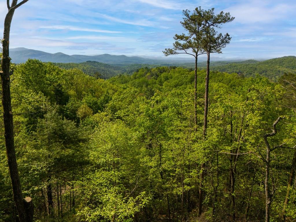 Lot 73 Mountain View Road Property Photo 6