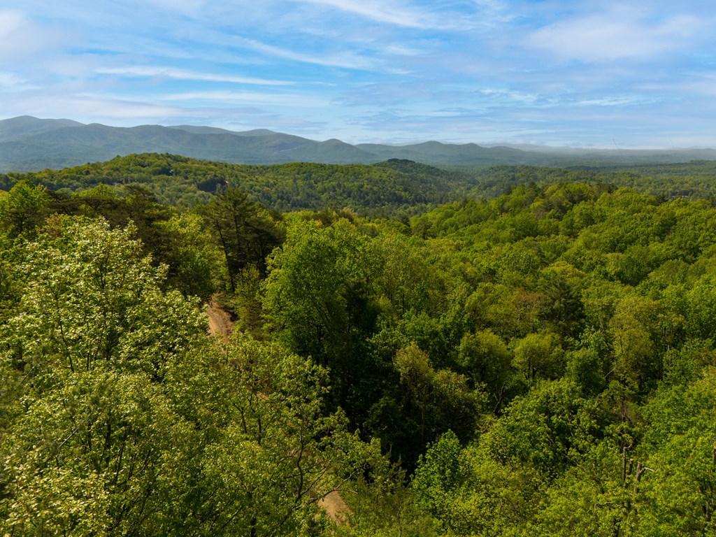 Lot 73 Mountain View Road Property Photo 7
