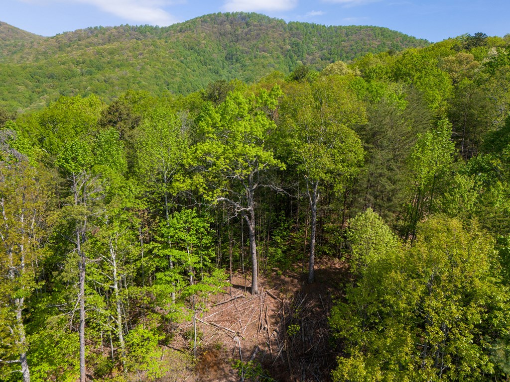 Lot 73 Mountain View Road Property Photo 9