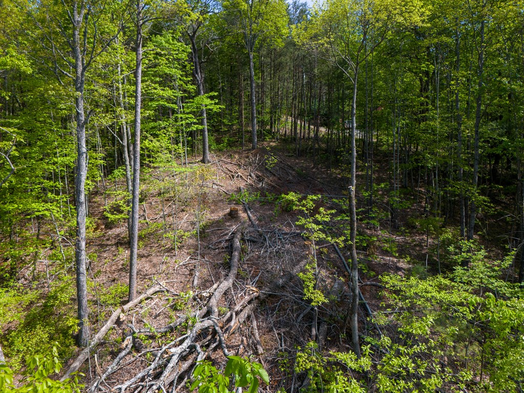 Lot 73 Mountain View Road Property Photo 10