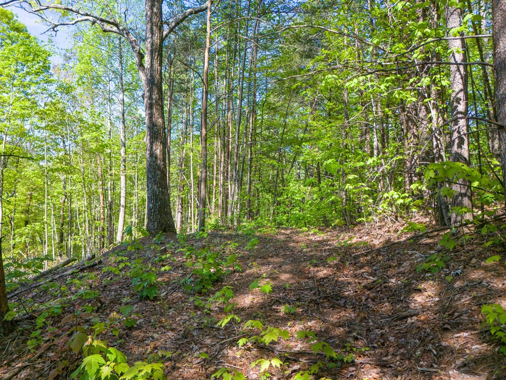 Lot 73 Mountain View Road Property Photo 11