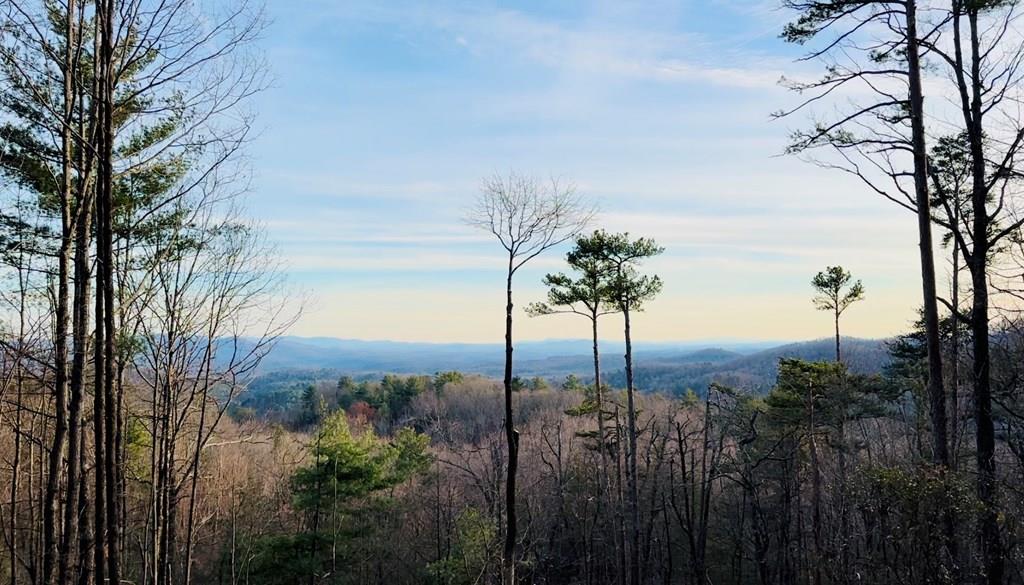 Lot 73 Mountain View Road Property Photo 12