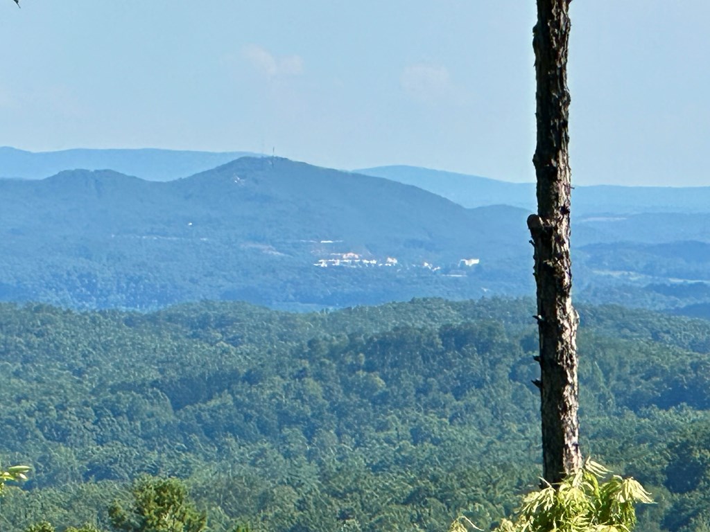 Lot 73 Mountain View Road Property Photo 13