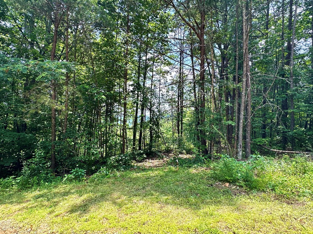 Lot 73 Mountain View Road Property Photo 15