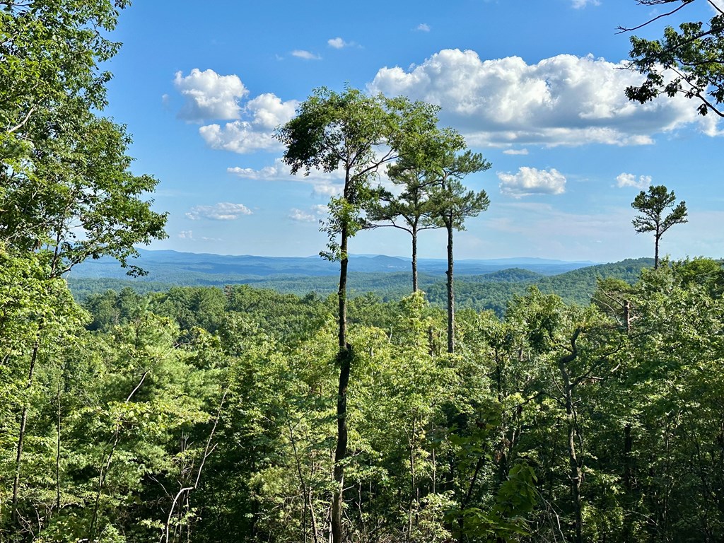 Lot 73 Mountain View Road Property Photo 16